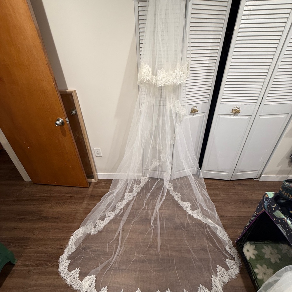 Cathedral length lace veil